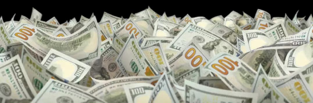 مهاجرت  سرمایه‌گذاری